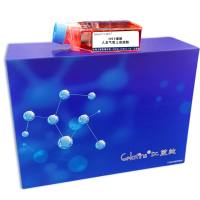 HSY细胞 ; 人支气管上皮细胞