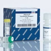 Effectene Transfection Reagent