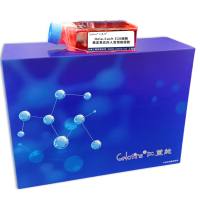 Hela-Cas9-528细胞 ; 稳定表达的人宫颈癌细胞