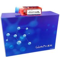 Hela-Cas9-531细胞 ; 稳定表达的人宫颈癌细胞