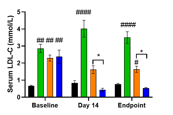 MASH（NASH）小鼠