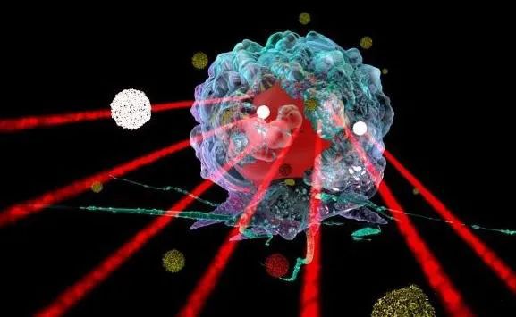 细胞耐药株：突破耐药之困，开启癌症治疗新篇章！