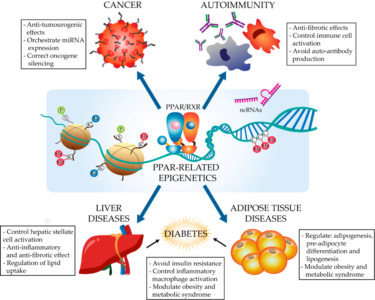 重磅！FDA批准近十年里程碑肝病