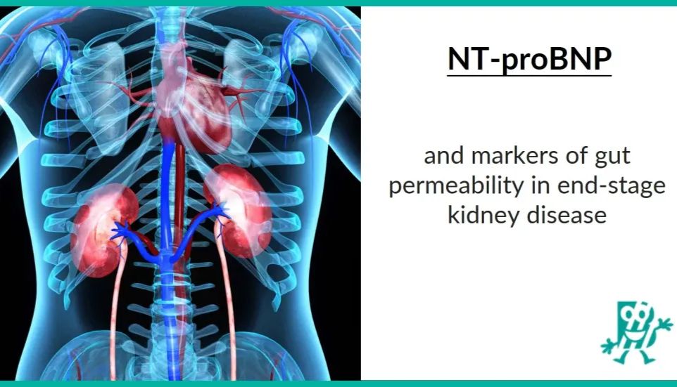 NT-proBNP在终末期肾病中的应用