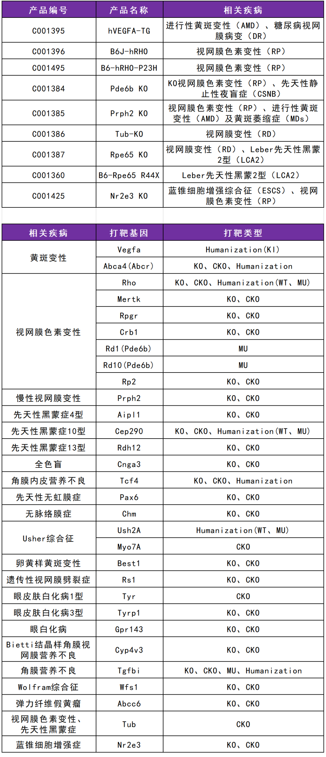 小模型大视野：青光眼及其他眼科疾病的研究探索