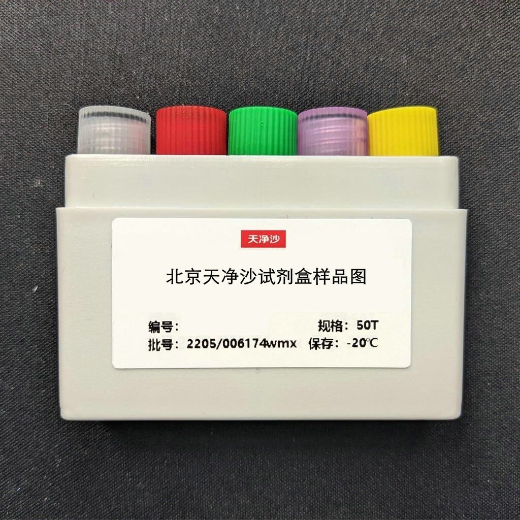 Reverse Transcriptase Assay 逆转录酶活性检测试剂盒(一步式PERT法)