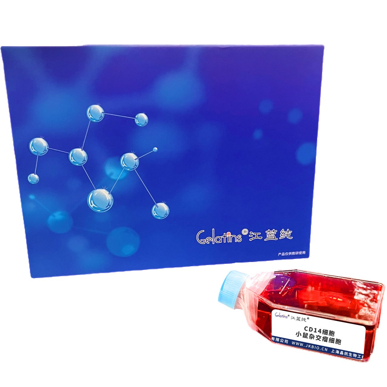 CD14细胞 ; 小鼠杂交瘤细胞