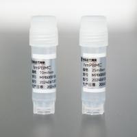 人动员外周血单个核细胞（hmPBMC)）