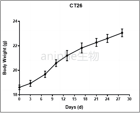 结直肠癌小鼠模型CRC小鼠模型