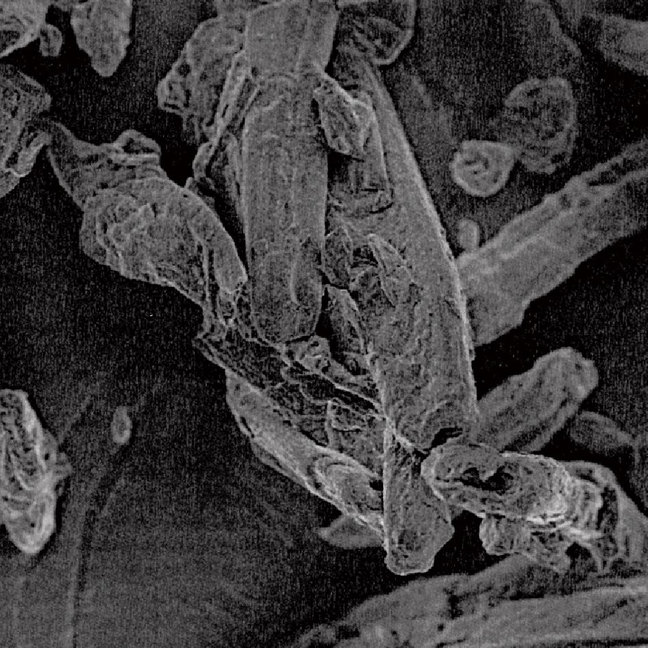 微晶纤维素胶态二氧化硅共处理物