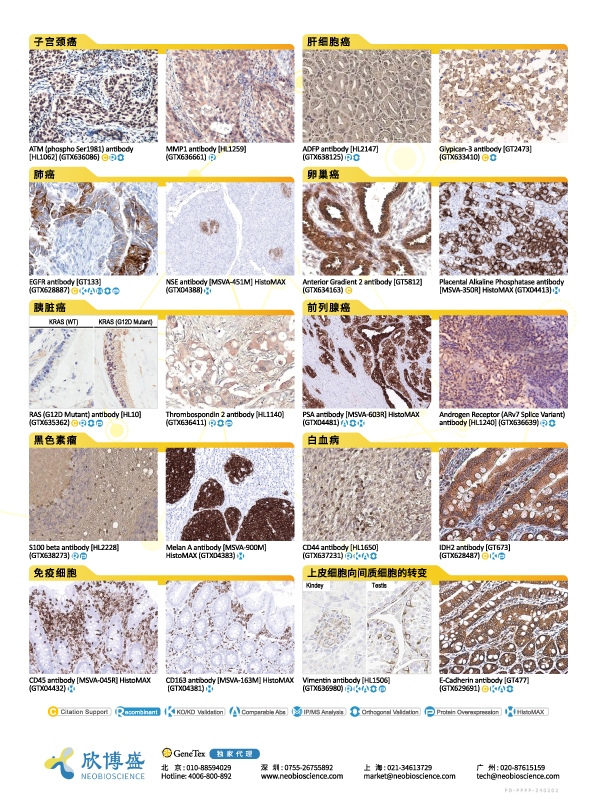 单页 - 免疫组化一抗原料
