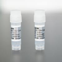 人动员外周血CD34+干/祖细胞