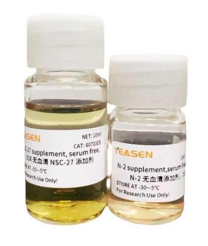 革新之作！高效多功能，新一代无血清添加剂（NSC-27/N-2）来了！