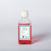 IMDM培养基（含谷氨酰胺）