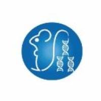 DB/M（糖尿病小鼠对照）