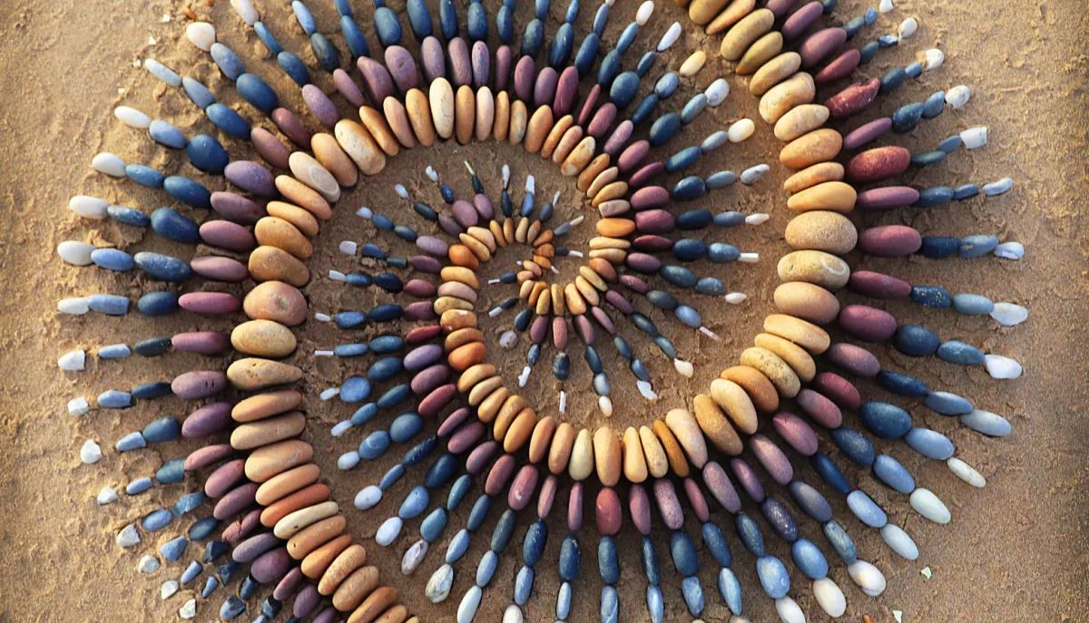 HT-1080 细胞的二维及三维细胞趋化实验步骤全解析