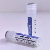 PolyTool™ 通用型转染试剂