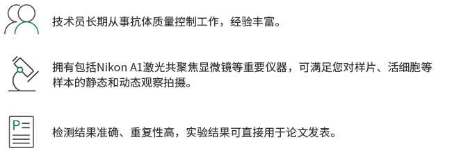 免疫荧光检测服务