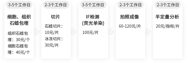 免疫荧光检测服务