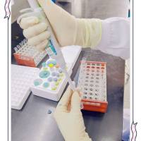 DPPH自由基清除率(检测服务)