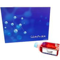 GLC-15细胞 ; 人肺癌细胞