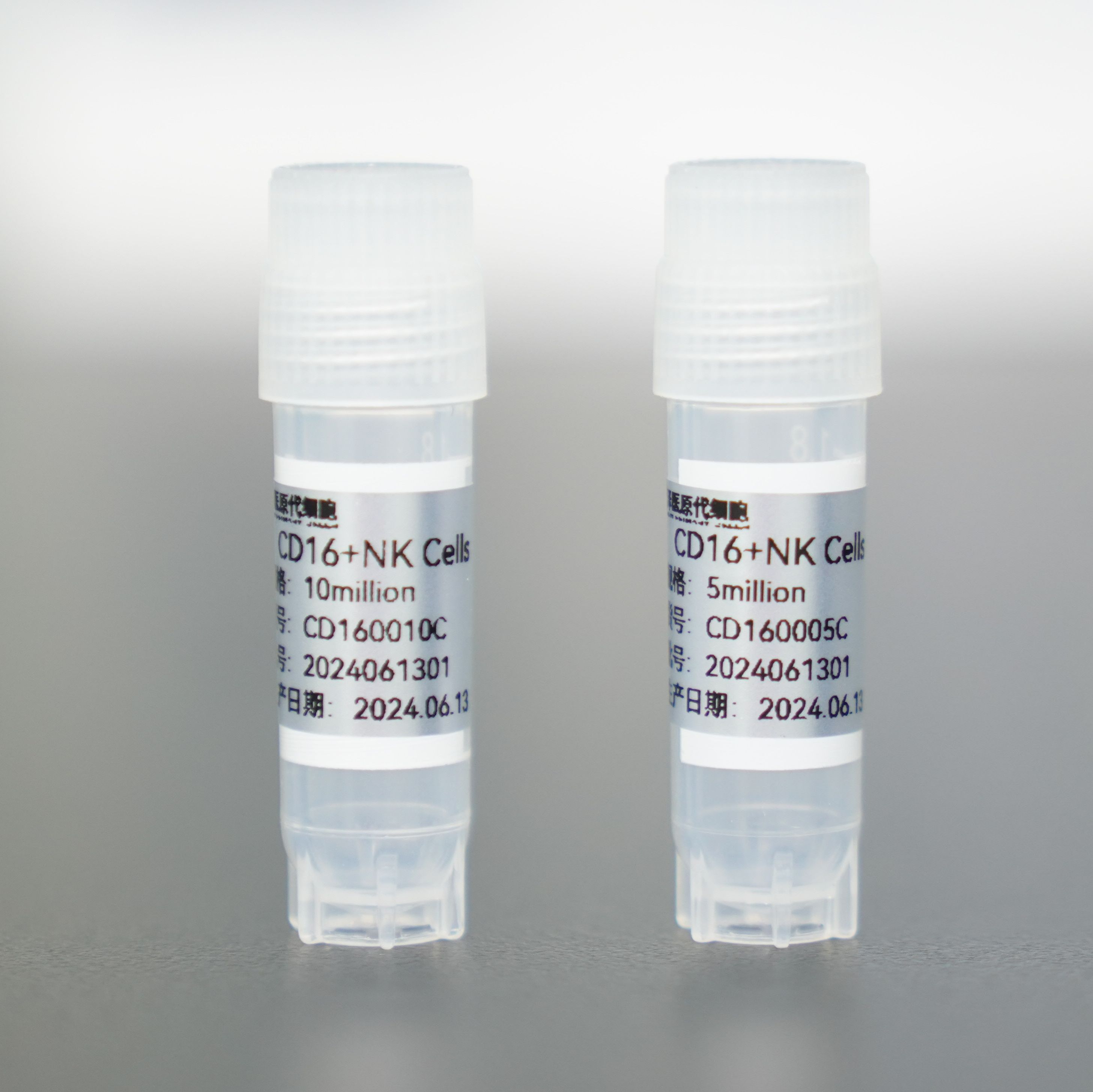 人CD16+NK细胞