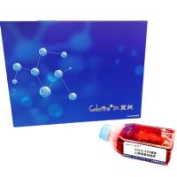 COLO-699细胞 ; 人肺癌腺癌细胞