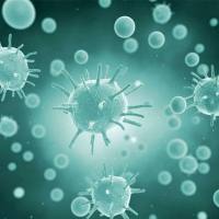 细胞因子检测服务