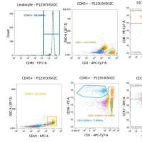 细胞流式检测服务