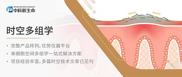 Immunity（IF 32.4）| 皮肤炎症的“连锁反应”：代谢如何驱动上皮-免疫共同失调模式