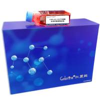 CHO-K1-EGFP细胞 ; 仓鼠卵巢细胞亚株