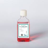 DMEM/F12培养基（含谷氨酰胺)