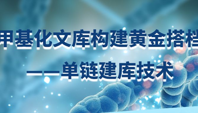 甲基化文库构建黄金搭档——单链建库技术