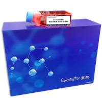 C5Mcab细胞 ; 疱疹病毒单抗杂交瘤细胞