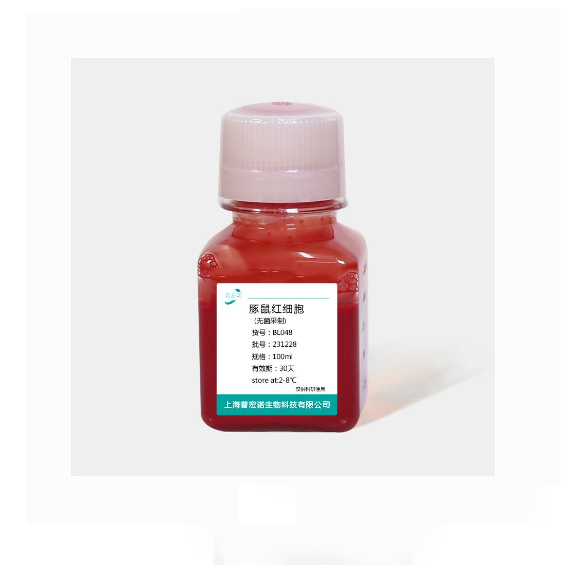 豚鼠红细胞