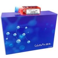 293sars181A细胞 ; 人胚肾细胞(Sars结构蛋白基因修饰)