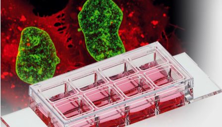 免疫荧光检测一体化解决方案-无需盖玻