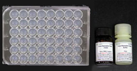 1914558632622730.jpg 1914558632622730.jpg