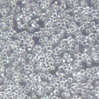 CoC1细胞、CoC1细胞系、CoC1卵巢癌细胞