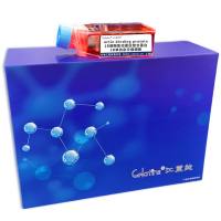 actin binding protein ; 1B细胞 ; 肌动蛋白结合蛋白1B单抗杂交瘤细胞