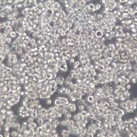 SU-DHL-2细胞、SU-DHL-2细胞系、SU-DHL-2弥漫性组织淋巴瘤细胞