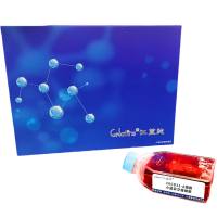 16CD11-A细胞 ; 小鼠杂交瘤细胞