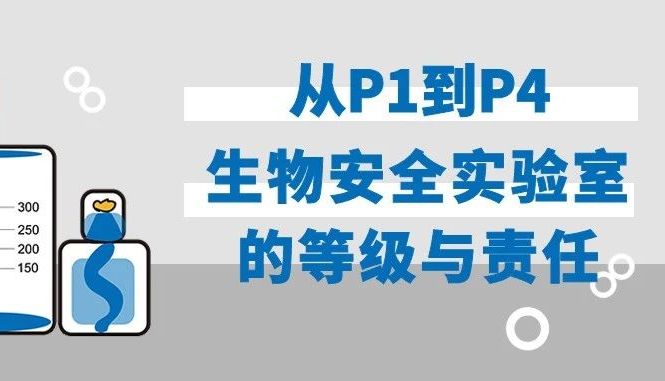 守护生命安全的防线 | 从P1到P4：生物安全实验室的等级与责任