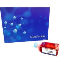 16CD11-G细胞 ; 小鼠杂交瘤细胞