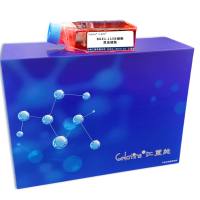 BGE1-L15B细胞 ; 昆虫细胞