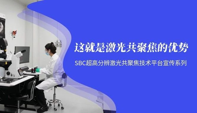 超越传统 | 激光共聚焦显微镜的成像革命