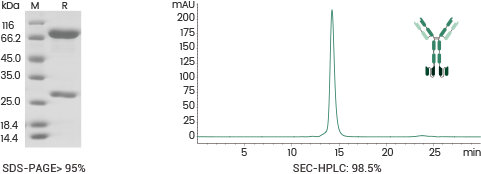 产品细节图片11