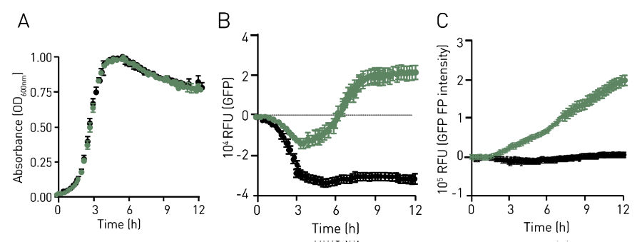 微孔板检测在微生物研究中的应用