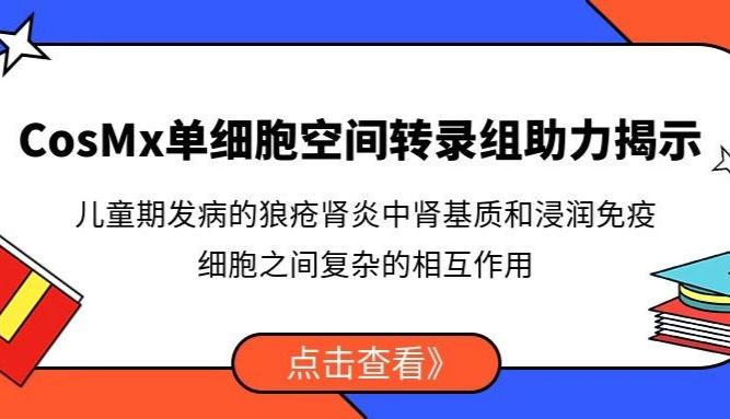 CosMx单细胞空间转录组助力揭示：儿童期发病的狼疮肾炎中肾基质和浸润免疫细胞之间复杂的相互作用