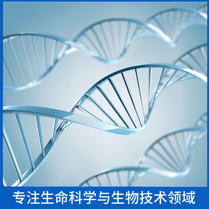 Recombinant Human TYMS, N-His